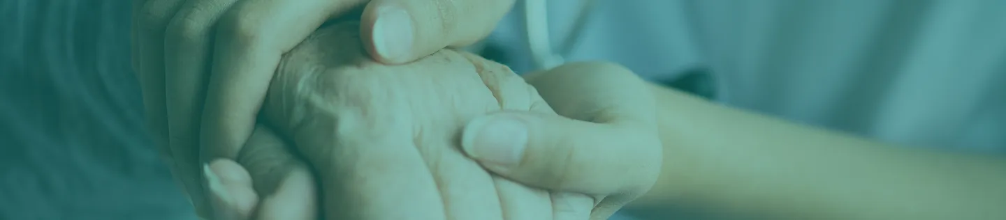 Servicios Arevalo